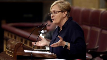 Ángeles Álvarez, exdiputada del PSOE