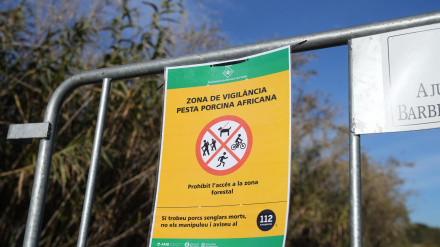 Vallas para cortar el paso en las zonas restringidas por la peste porcina africana