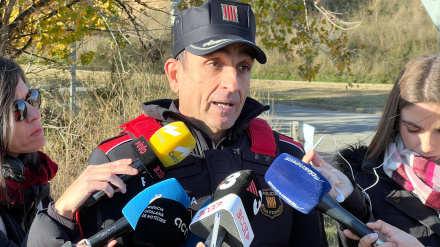 contención peste porcina