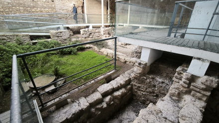 Reforma de la Sinagoga