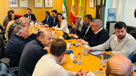 Reunión de la Mesa del Tren para la recuperación de la línea Lorca-Baza-Guadix, en la sede de la Diputación de Granada