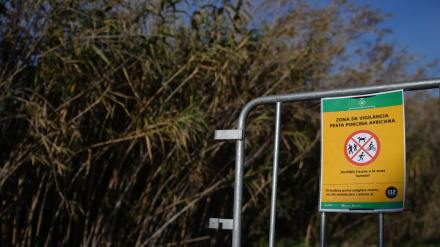 Vallas para cortar el paso de los agents rurals de los Mossos d'Esquadra en las zonas restringidas por la peste porcina africana.