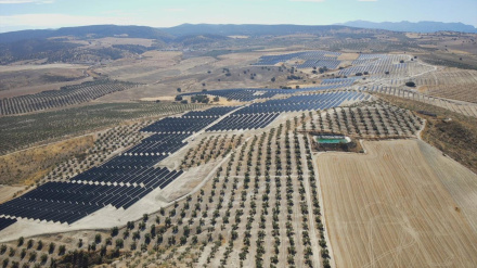 Planta solar de Caparacena 150 MW