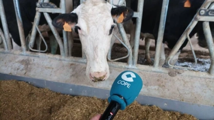 Jesús María Torres Valdivieso, ganadero de vacuno de leche en Villabrágima, nos cuenta en COPE cómo es el día a día en su explotación