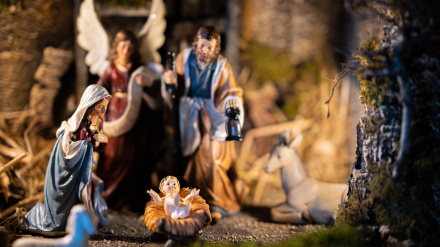 La Navidad 'contranatural' que nos harta: el aviso sobre el consumo que ya se vende en el súper