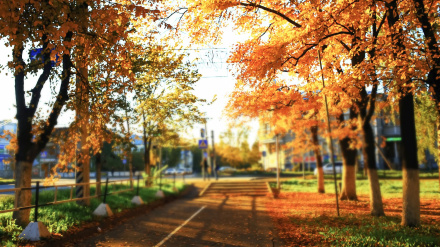 Calle española en otoño