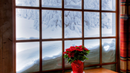 Ventana con flor de Pascua en invierno