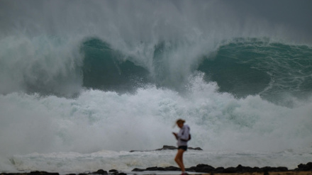 EFE/Ramón de la Rocha