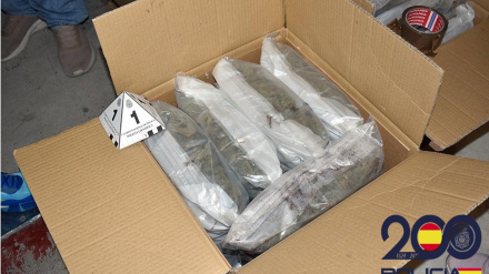 Una de las cajas incautadas por la Policía Nacional en El Prat de Llobregat (Barcelona)