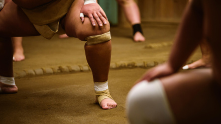 Luchadores agachados en anillo de sumo en beya