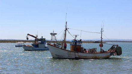 Barcos de pesca de arrastre