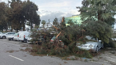 Efectos de un tornado durante la madrugada de este martes en Mijas