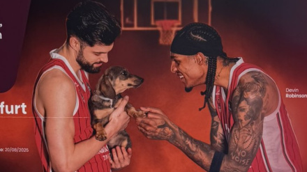 Robinson y Yusta apoyan la adopción responsable de animales