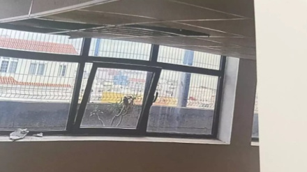 Techos caídos de parte del CADI Las Longueras