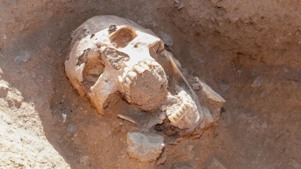 Yacimiento Arqueológico La Guancha