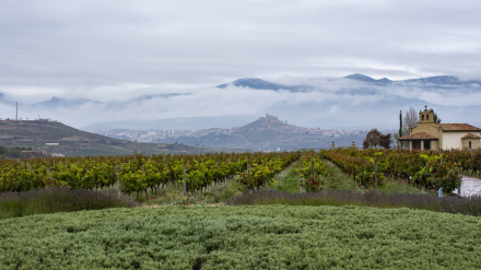 Bodegas Vivanco en Briones