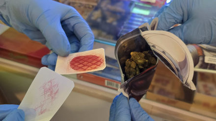 DIRECCIÓN GENERAL DE LA GUARDIA CIVIL COMANDANCIA DE VALENCIA