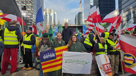Jóvenes agricultores de Baleares protestan en Bruselas por los "recortes" de la nueva PACREMITIDA / HANDOUT por ASAJA BALEARESFotografía remitida a medios de comunicación exclusivamente para ilustrar la noticia a la que hace referencia la imagen, y citando la procedencia de la imagen en la firma18/12/2025