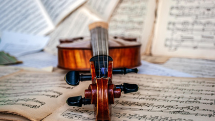 La razón por la que estos cuatro famosos instrumentos tienen cuatro cuerdas y no necesitan más