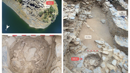 Imágenes relacionadas con la investigación