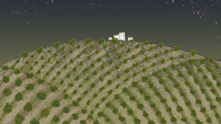 La luz en los olivares - Imagen ganadora VIII Premio Relatos Olivar