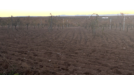 Vides en Tierra de Barros