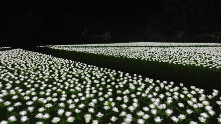 Jardín Infinito en Santiago de Compostela