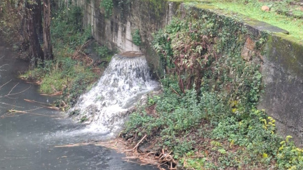Vertido en el río Basteiro, de Neda