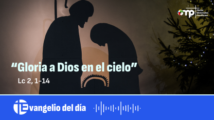 Escucha aquí el Evangelio del día
