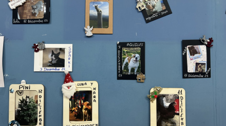 Un calendario de Adviento dedicado a las mascotas de los clientes