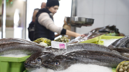 Varias merluzas expuestas para su venta en una pescadería de un mercado de abastos de la localidad de Viveiro