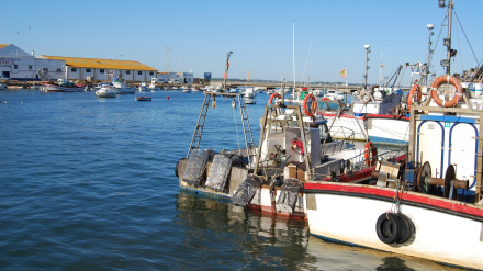 Barcos en el puerto de Isla Cristina