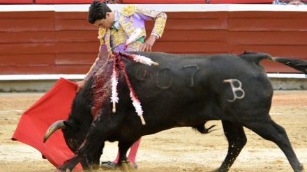 Marco Pérez durante su actuación este viernes en Cali (Colombia)