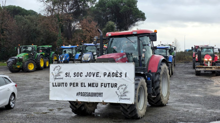 Según los ganaderos, esta situación ha puesto "en riesgo a toda la ganadería del Alt Pirineu", donde cada año se producen "dos o tres vaciados sanitarios"