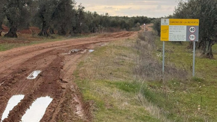 Camino de la Reyerta