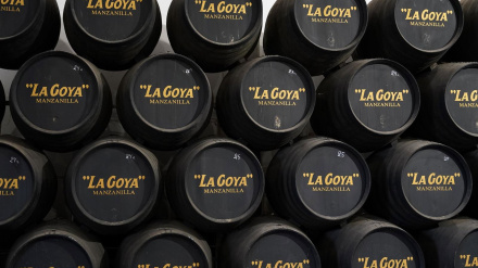 11/12/2024 Botas de vino manzanilla de la Bodega Delgazo Zuleta en Sanlúcar de Barrameda (Cádiz)POLITICA JUNTA DE ANDALUCÍA