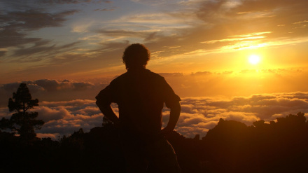 Los verbos que dan sentido a la vida: mucho más que palabras