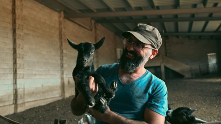Rodrigo y las cabra Verata