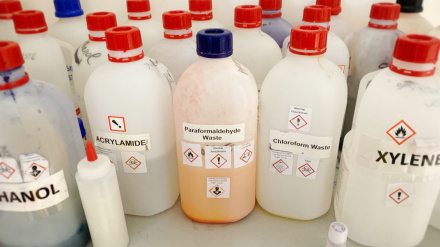 Liquid chemicals and waste bottles in a lab