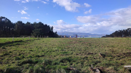 Apuesta por el producto loca