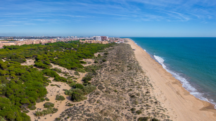 Playa Punta Umbría