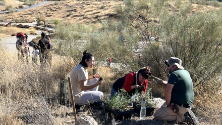 Entre los voluntarios también hay compañeros de la Entidad