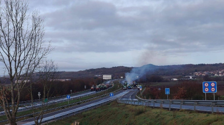 Agricultores y ganaderos continúan con sus reivindicaciones