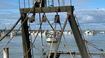 José Carlos Macías, técnico Cofradía de Pescadores de Sanlúcar