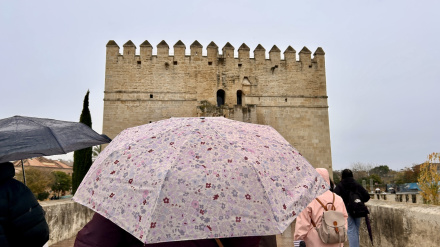 Puente Romano en un día de lluvia