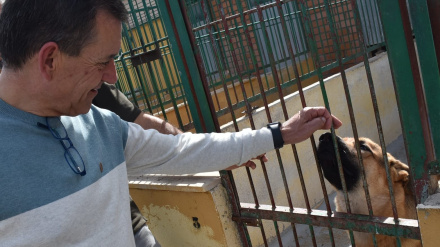 Albergue provincial de animales