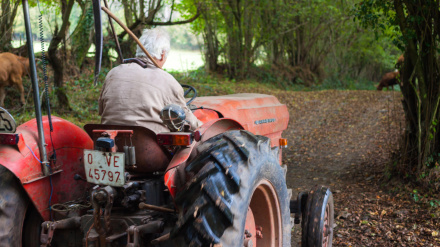 Ganadero de Asturias