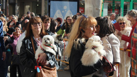 Sant Antoni Dénia 2025