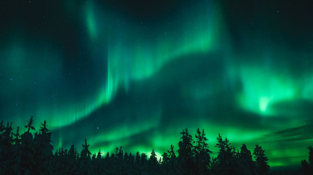 Aurora Boreal