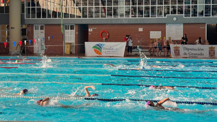 Panorámica de la piscina municipal de sexitana durante el transcuso de una de las pruebas del Circuito Provincial